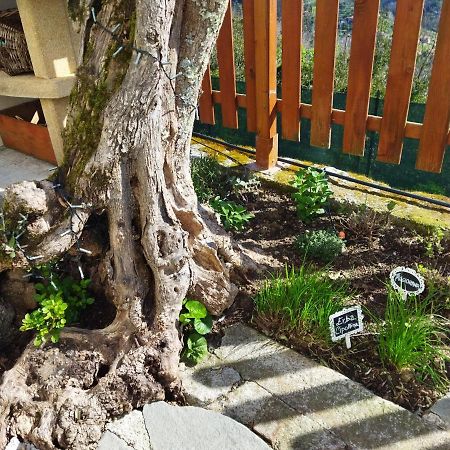 Amphiorama Vila La Spezia Exterior foto