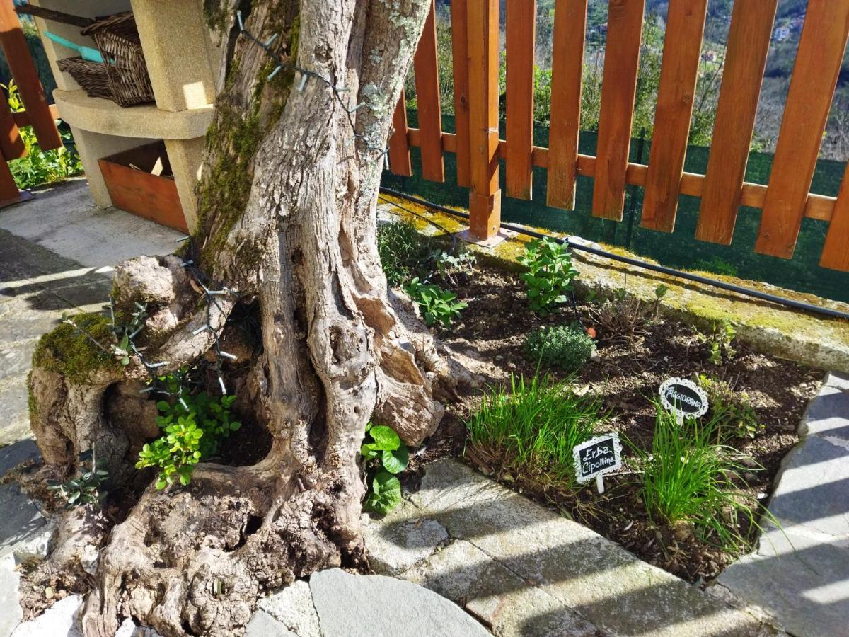 Amphiorama Vila La Spezia Exterior foto